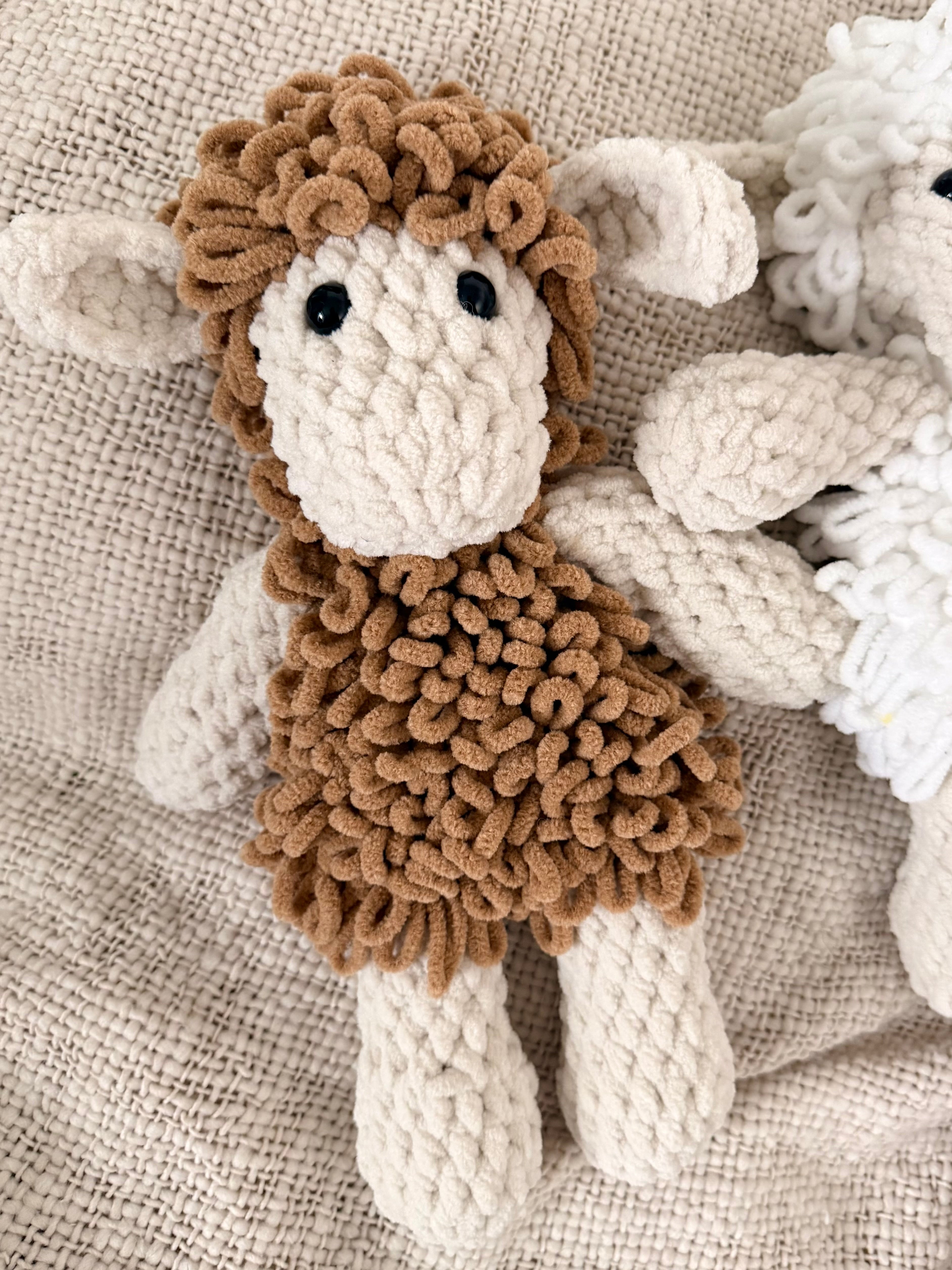“Suri” the Sheep