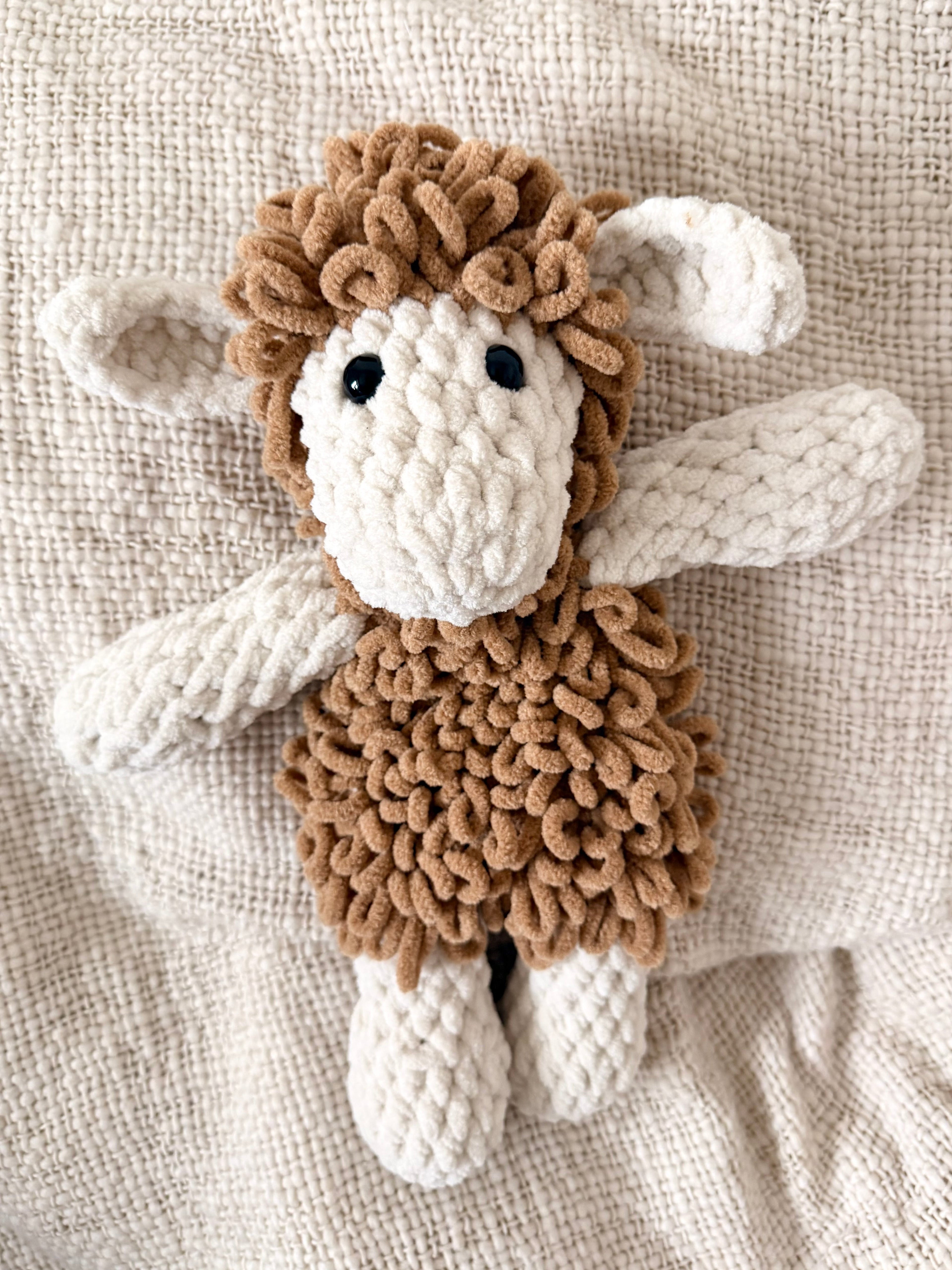 “Suri” the Sheep